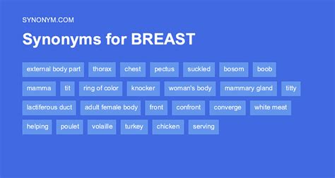 breast synonyms|poetic words for breasts.